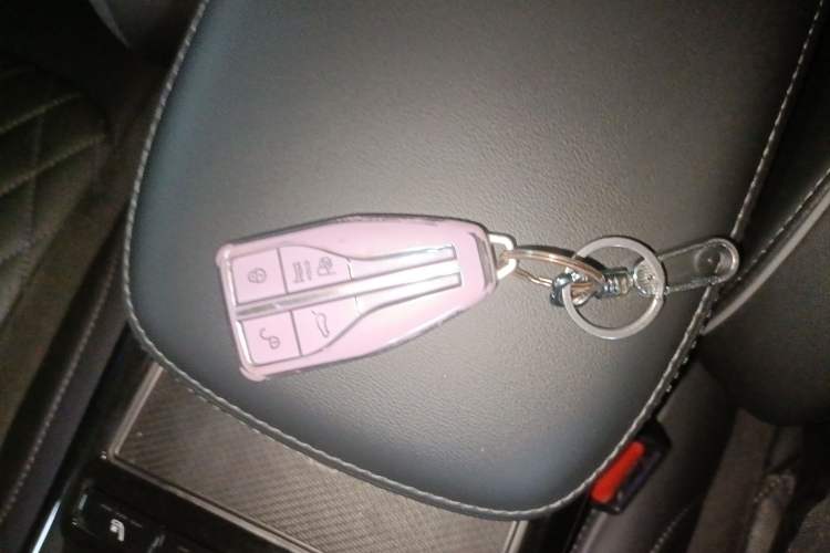 Used Hongqi HS5 2022 2.0T Smart Connect Flagship All-Wheel-Drive Version