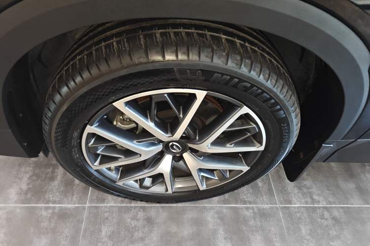 Used GAC Trumpchi GS8 2025 Linghang Series 2.0 TGDI Two-Wheel-Drive Luxury Edition 5 Seats
