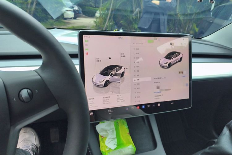 Used Tesla Model 3 2022 Rear-Wheel-Drive Version