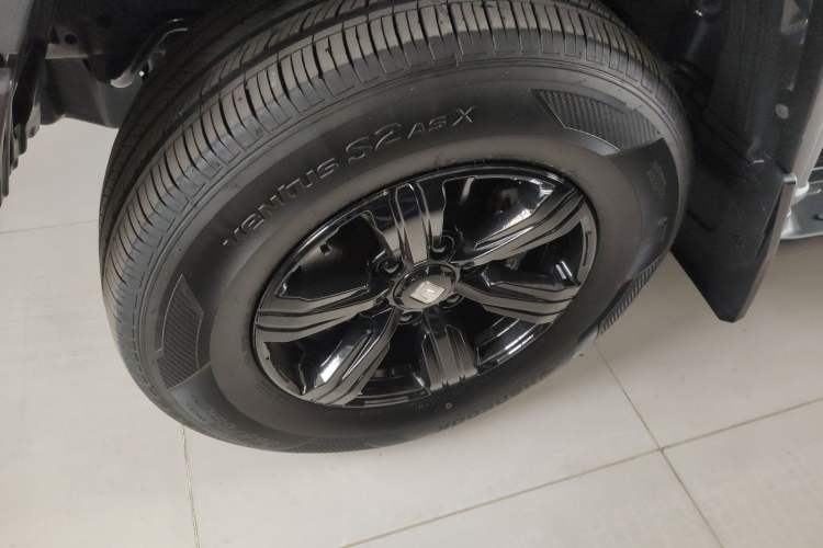 Used Tank 300 2024 2.0T Conqueror