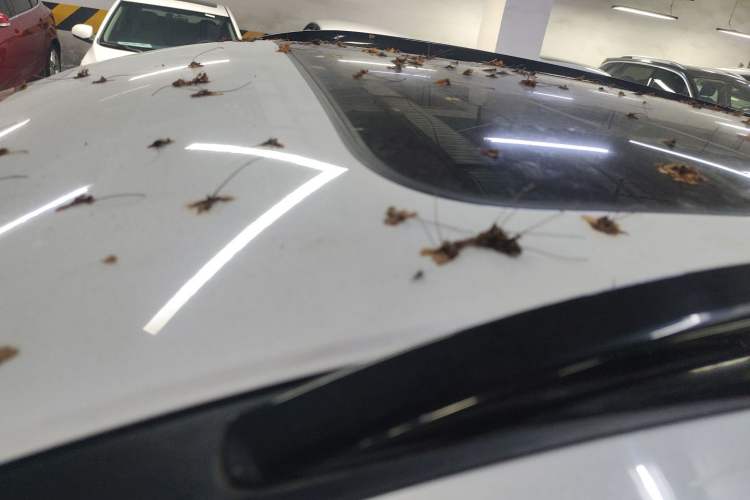 Used Wey VV7 2017 2.0T Ultra-Luxury Version Roof