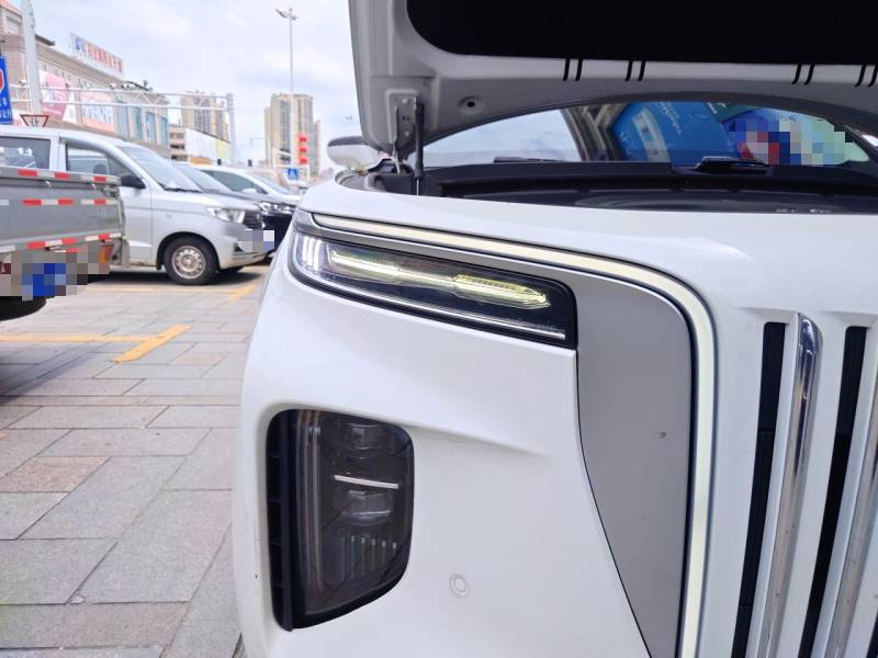 Used Hongqi E-HS9 2021 510 km Range Flagway Edition Six Seats — 16