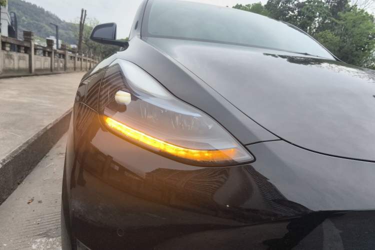 Used Tesla Model Y 2022 Revised Version Long-Range All-Wheel Drive