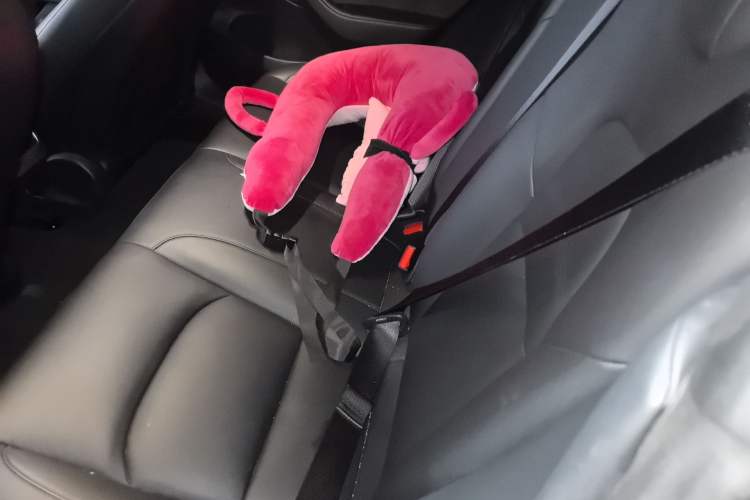 Used Tesla Model 3 2021 Standard Range Rear-Drive Upgraded Version Left Rear Seat