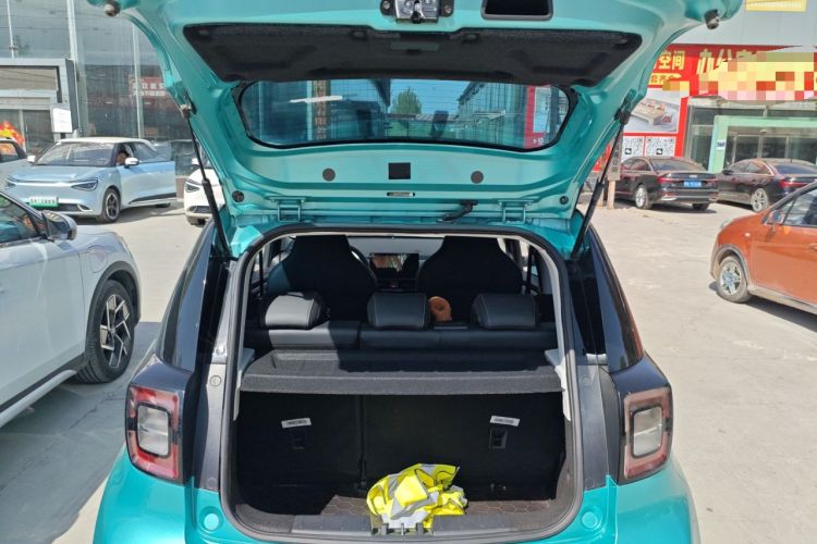 Used SOL E10X 2022 Flower Fairy Design Four-Leaf Clover
