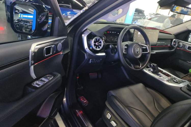 Used Tank 400 New Energy 2023 Hi4-T Super Edition Driver Seat