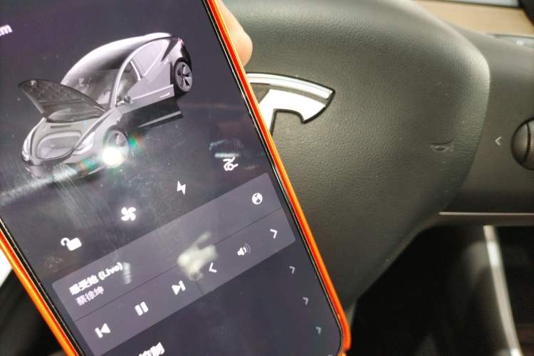 Used Tesla Model 3 2020 Revised Version Standard Range Rear-Wheel Drive – Upgraded Edition
