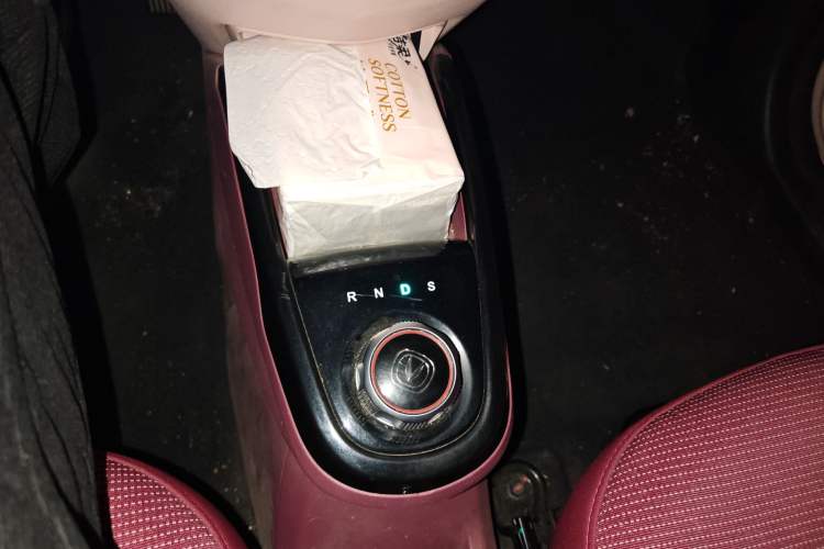 Used Oshan Benni E-Star 2021 National Edition Colorful Version Lithium Iron Phosphate (31.18 kWh)
