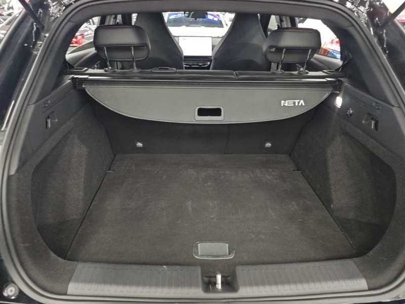 Used NETA X 2023 500 Lite — 18