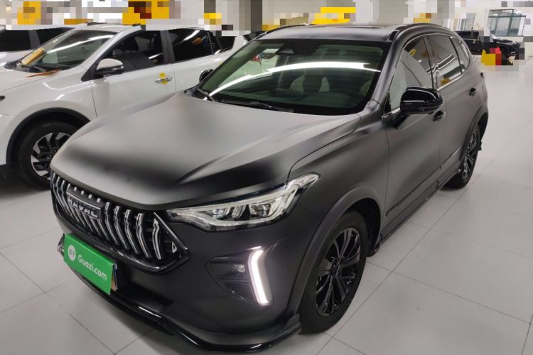 Used Haval LHERY 2021 High-Performance Version 1.5T Golden Rabbit