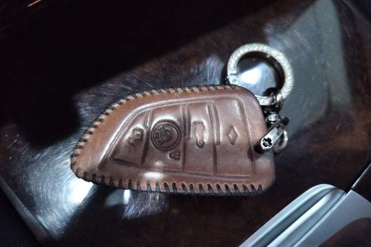 Used BMW 5 Series 2018 528Li Launch Special Edition
