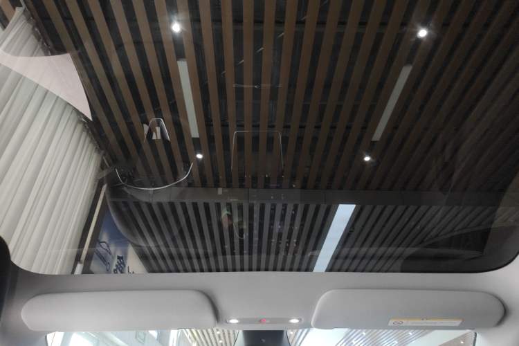 Used Tesla Model Y 2025 Rear-Wheel-Drive Version Headliner