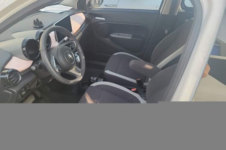 Used ORA Black Cat 2022 Updated Version 301 km Cute Pet Edition Lithium Iron Phosphate Left Front Seat