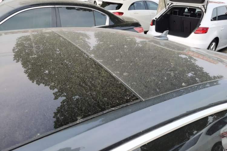 Used Audi A6L 2021 40 TFSI Luxury Dynamic Edition Roof