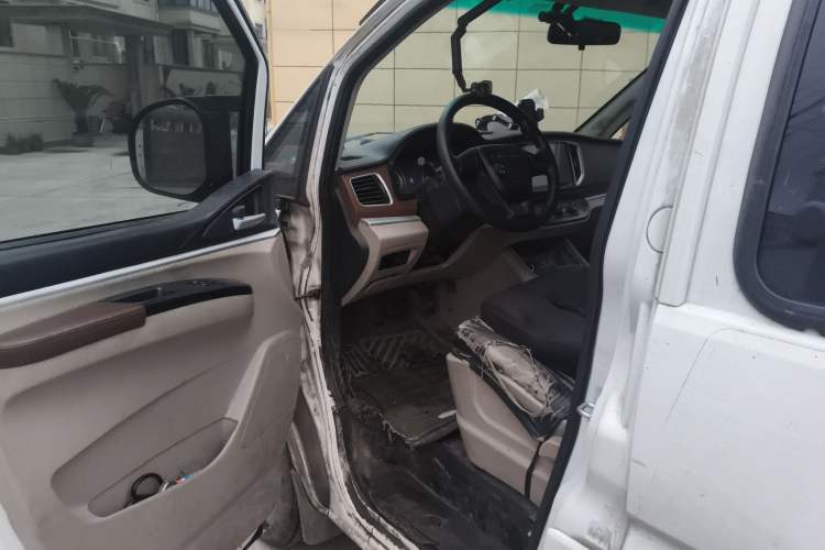 Used FORTHING Lingzhi M5 2020 Comfort Model 5 Seats Driver Seat