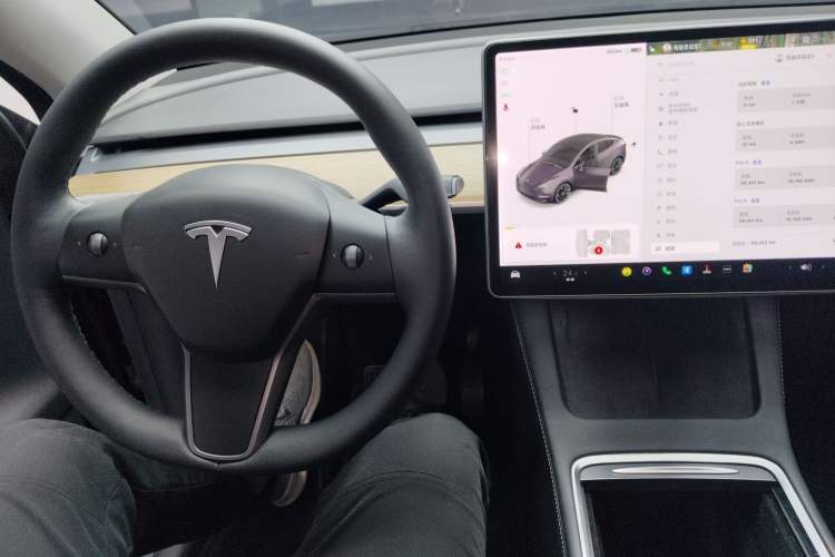 Used Tesla Model Y 2021 Long-Range All-Wheel-Drive Version 3D7