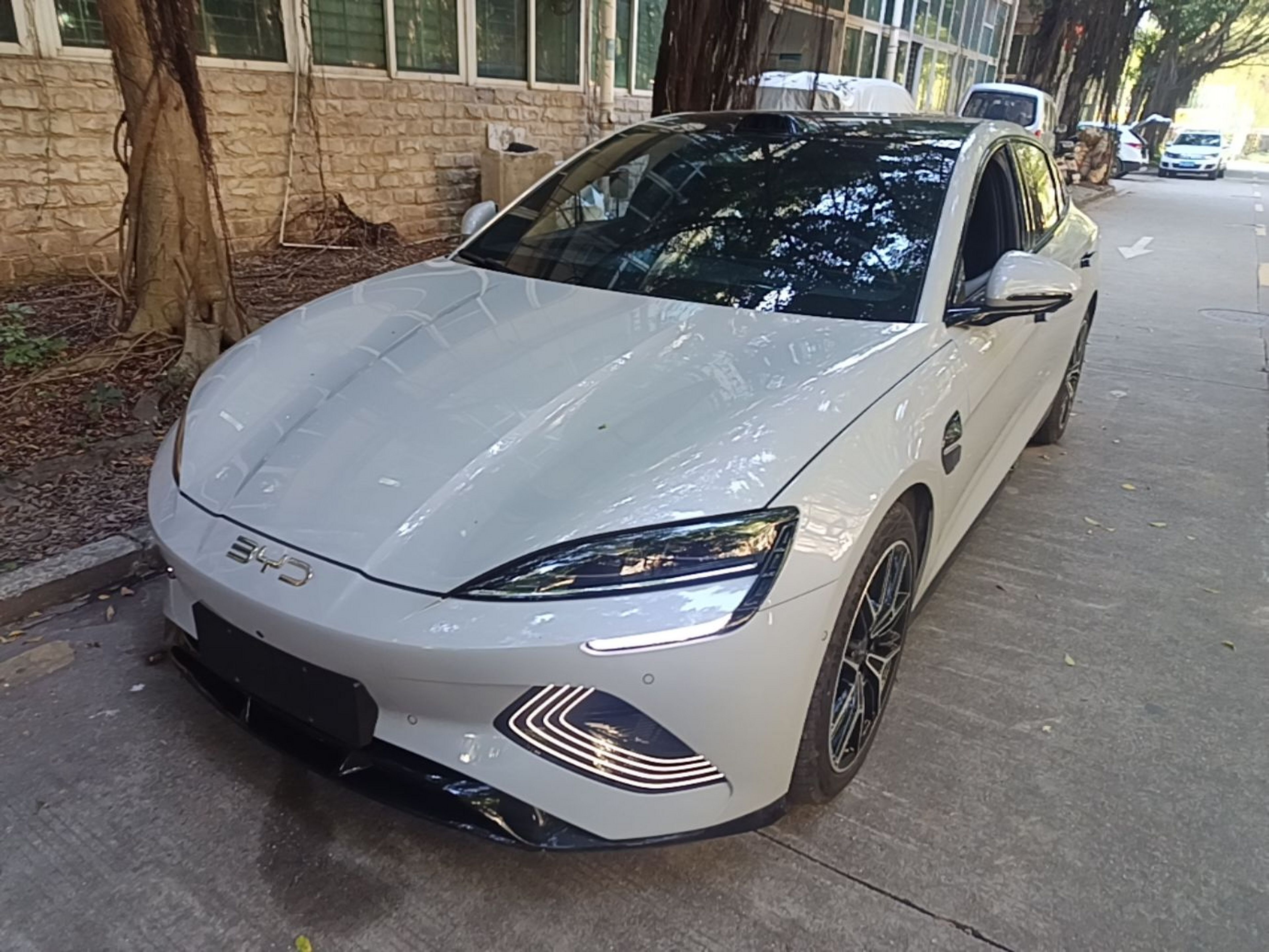 Under Front Bumper
