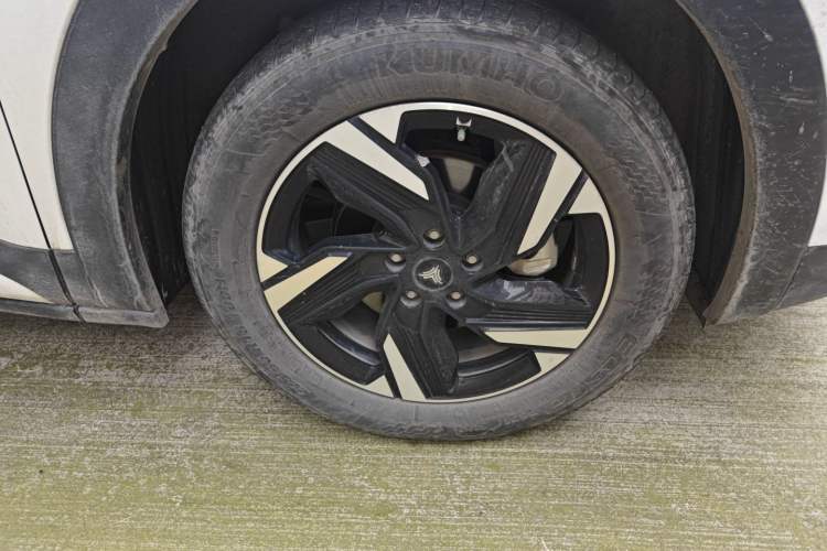 Used NETA X 2023 500
