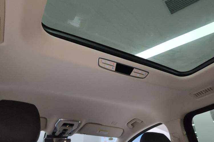 Used Hongqi HQ9 PHEV 2024 2.0T Four-Wheel Drive Business Edition Headliner