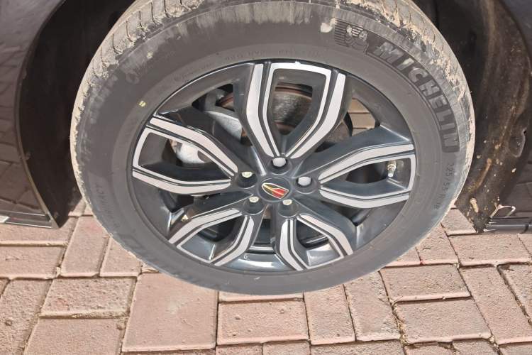 Used Hongqi HQ9 2023 2.0T Smart Connect Flagship Edition
