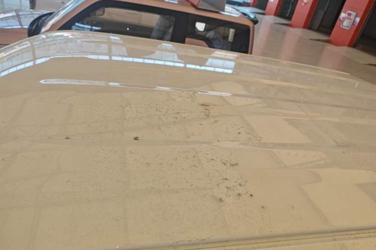 Used Geely Galaxy Panda 2024 Panda Mini 200km Endurance Bear