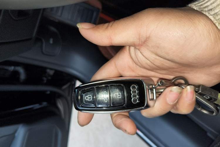 Used Audi A7L 2024 45 TFSI Luxury Edition
