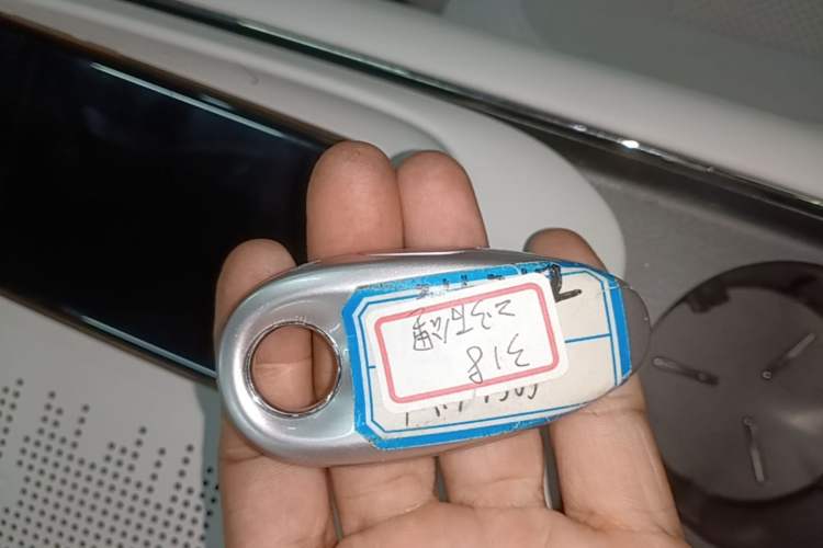 Used VOYAH FREE 2025 318 318 km Rear-Drive Touring Edition