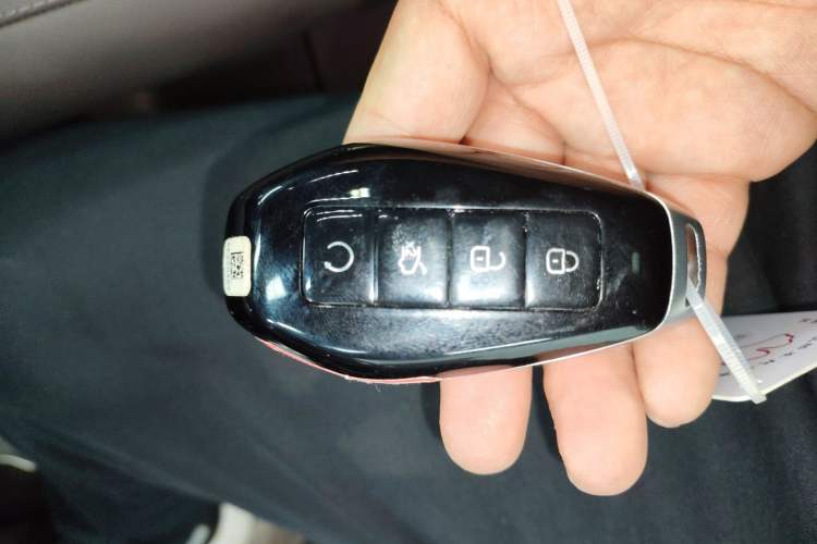 Used Denza Z9 2024 1100 km Four-Wheel Drive Max Version