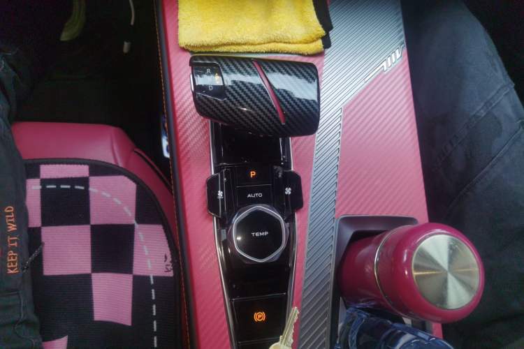 Used Oshan Z6 New Energy 2022 Blue Whale iDD 150KM Flagship PLUS Smart Parking Edition
