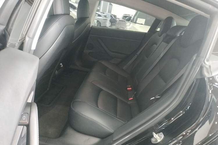 Used Tesla Model 3 2021 Revised Performance Version with All-Wheel Drive 3D1
