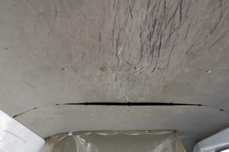 Used Foton Scenic G9 
