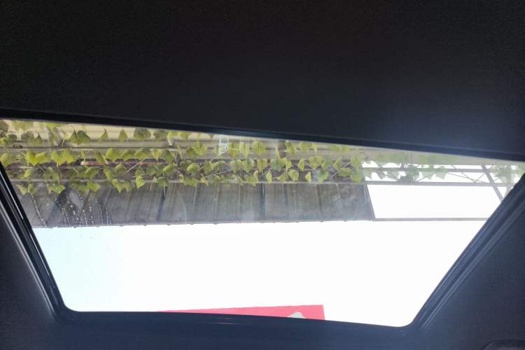 Used GAC Trumpchi GS8 2024 Linghang Series 2.0 TGDI Two-Wheel Drive Luxury Smart Connectivity Version
