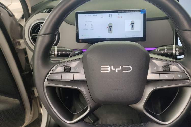 Used BYD Sealion 05 DM-i 2025 DM-i Smart Drive 115KM Flagship Model
