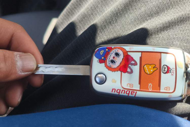 Used Qiyuan Lumin 2023 205km Xiangqin Version
