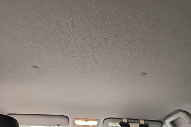 Used Toyota YARiS L Zhi Xuan 2022 X-Trail 1.5L CVT Leading PLUS Edition Headliner