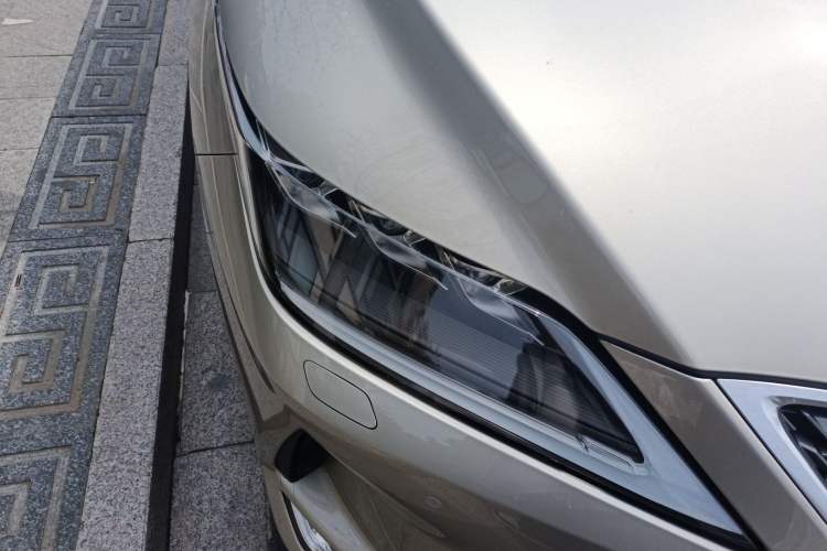 Used Lexus RX 2020 300 4x4 Elegant Edition China VI
