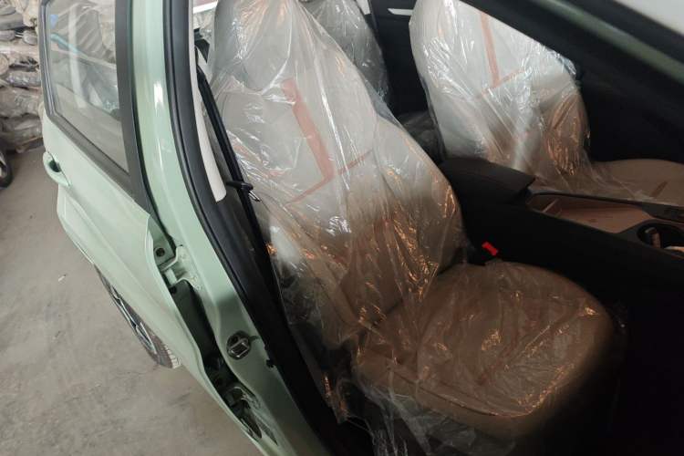 Used SOL E10X 2022 Flower Fairy Design Four-Leaf Clover
