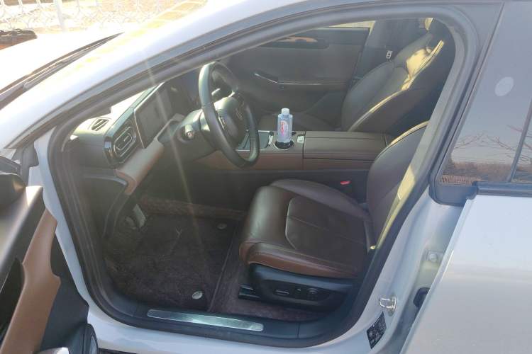 Used Leapmotor C01 2023 Range-Extended 316 Smart Edition Left Front Seat