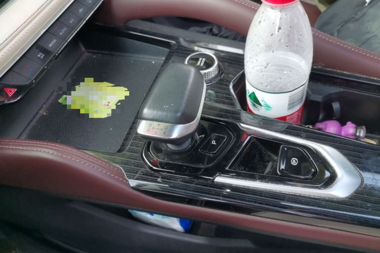 Used Geely Auto Monjaro L 2021 2.0TD DCT EVO Two-Wheel Drive Prestige Version
