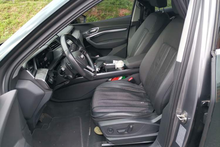 Used Audi e-tron 2019 55 quattro Technology Edition Left Front Seat