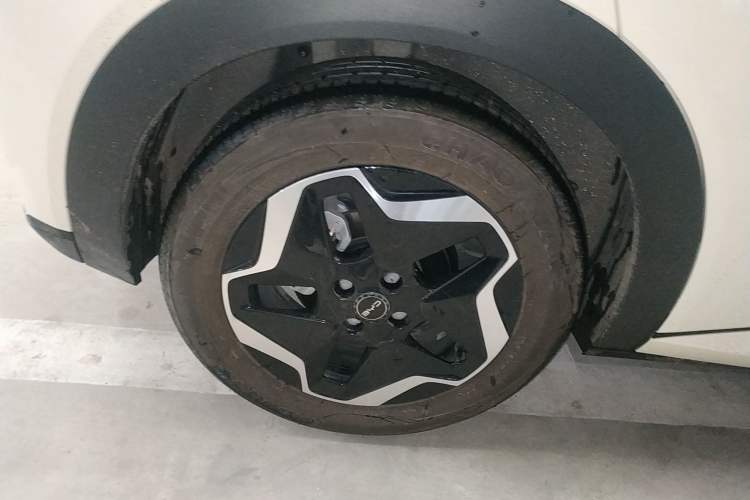 Used BYD Dolphin 2025 420km Active Version Right Rear Wheel Hub