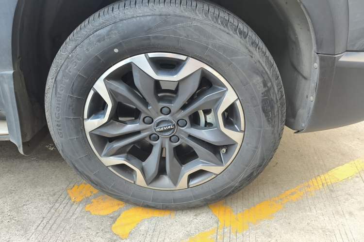 Used Haval DARGO 2021 2.0T DCT 4x4 Chinese Rural Dog Edition Exterior 7