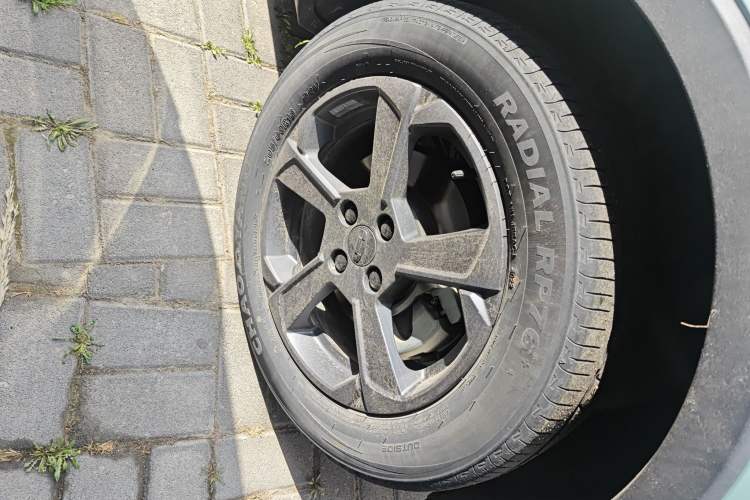 Used Geometry E Firefly 2022 320KM Cute Tiger 4-Seater