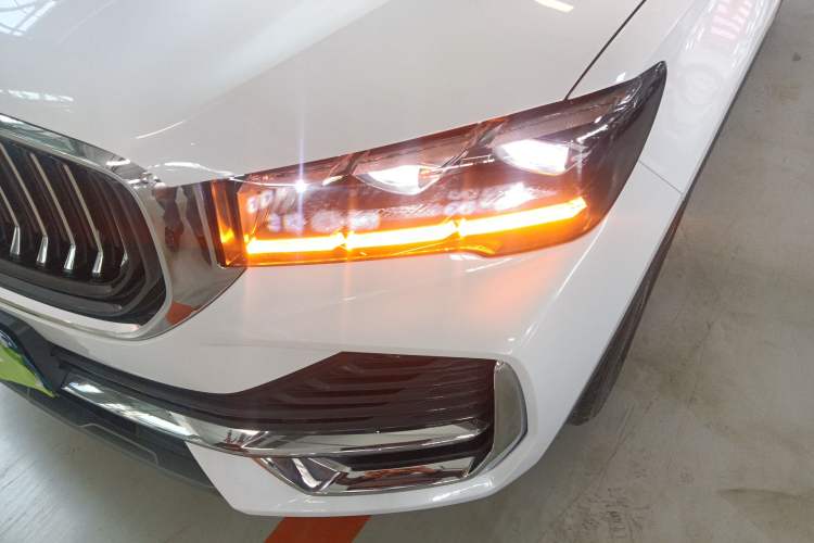 Used Geely Auto Monjaro L 2021 2.0TD DCT EVO Two-Wheel Drive Prestige Version
