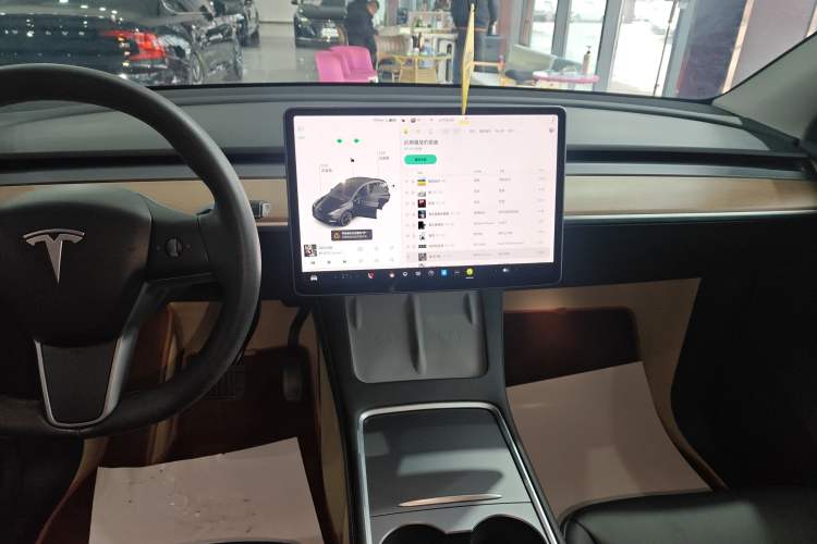 Used Tesla Model Y 2021 Long-Range All-Wheel-Drive Version
