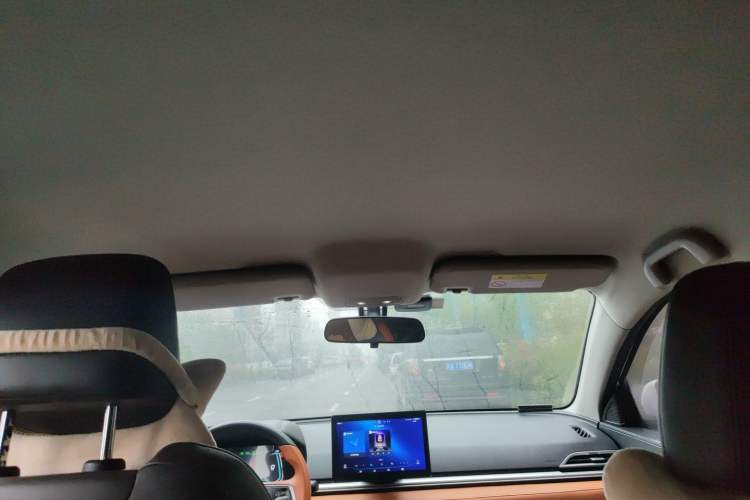 Used BYD e2 2021 Luxury Model Headliner