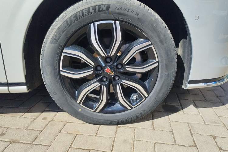 Used Hongqi HQ9 2023 2.0T Smart Connect Flagship Edition
