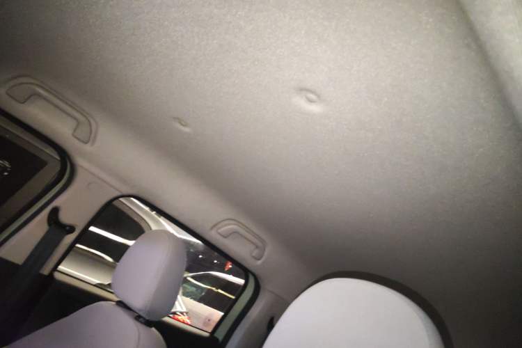 Used ORA White Cat 2020 305 km Luxury Version
