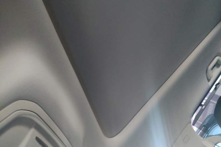 Used Haval Raptor New Energy 2024 Hi4 145 Cross-Over Edition Headliner