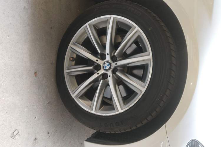 Used BMW 5 Series New Energy 2019 530Le Luxury Package
